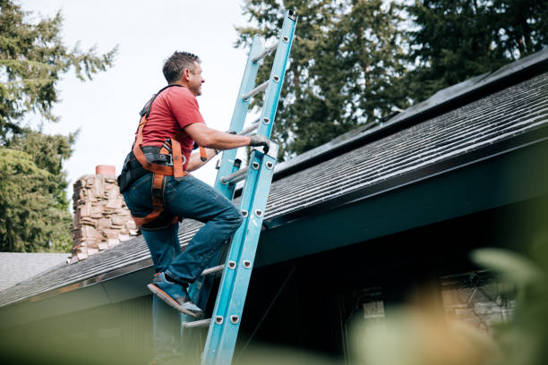 Best Roof Maintenance and Cleaning  in Kenedy, TX